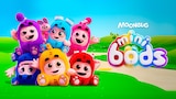 Minibods