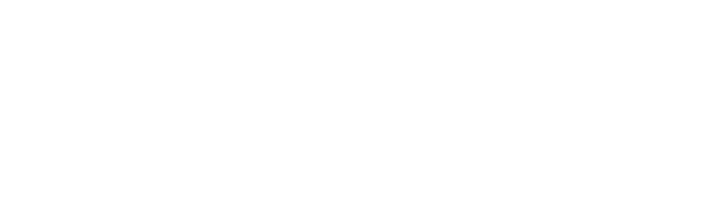 Flight of the Conchords