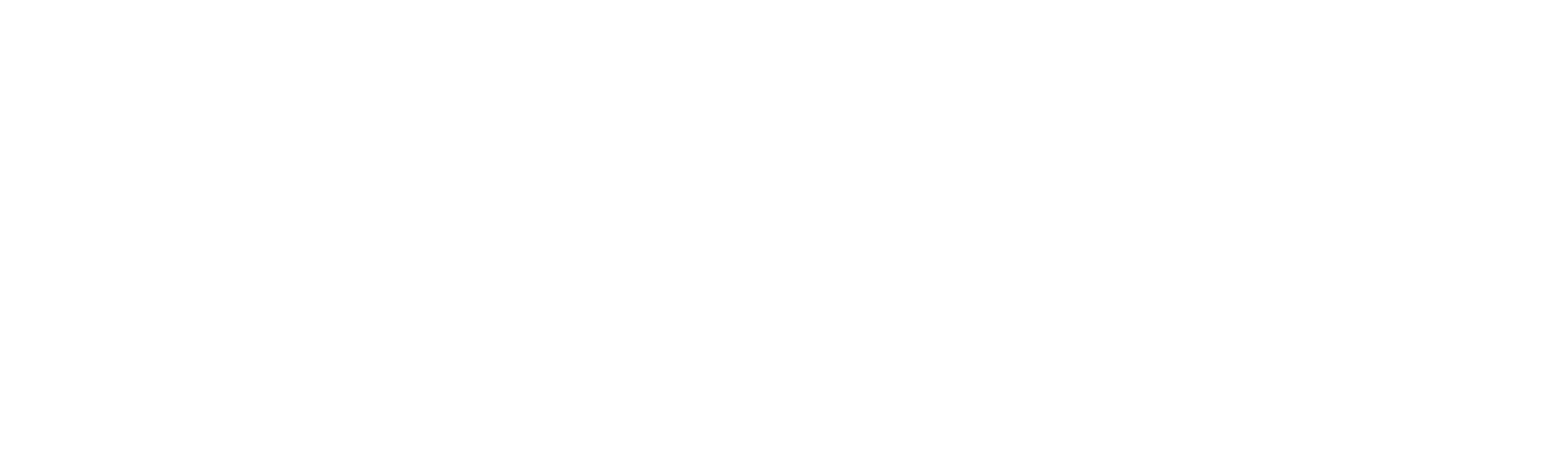 Flight of the Conchords
