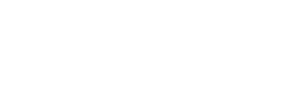 Novozelanđani u New Yorku