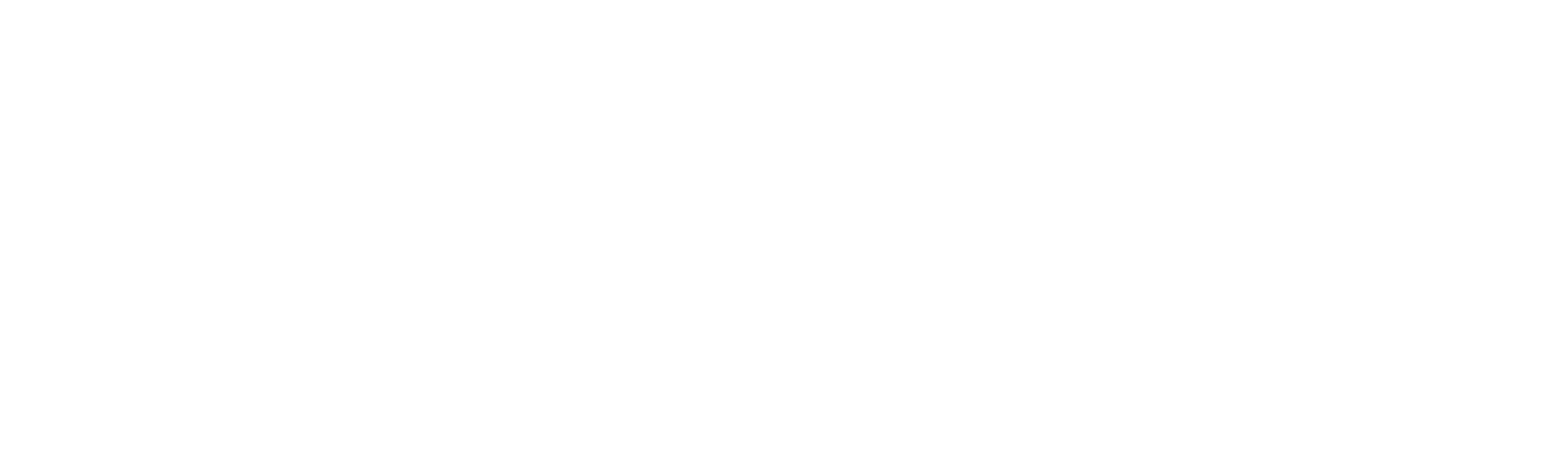 Novozelanđani u New Yorku