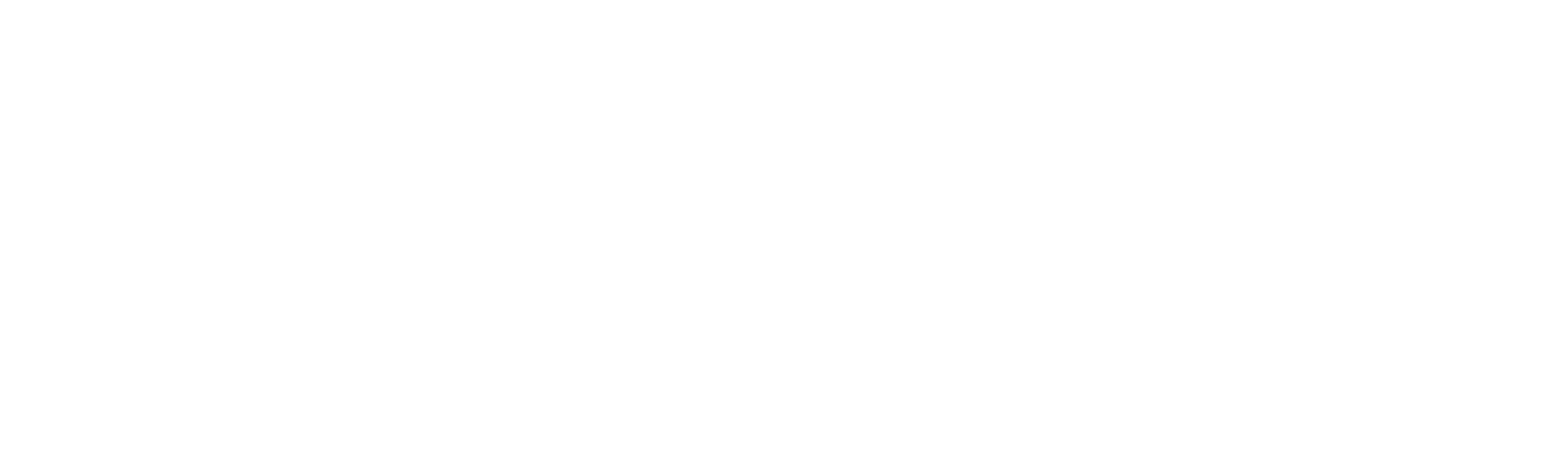 Flight of the Conchords