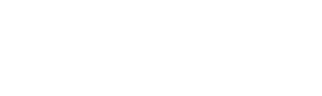 Doi trubaduri la New York