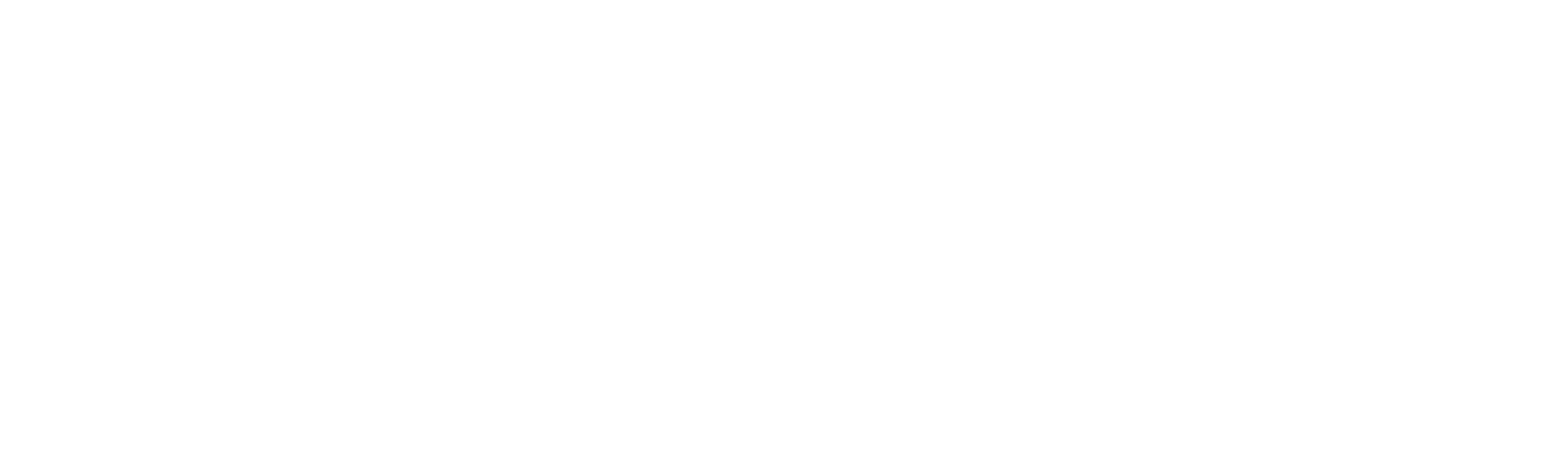 Shark Academy