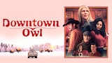 Downtown Owl