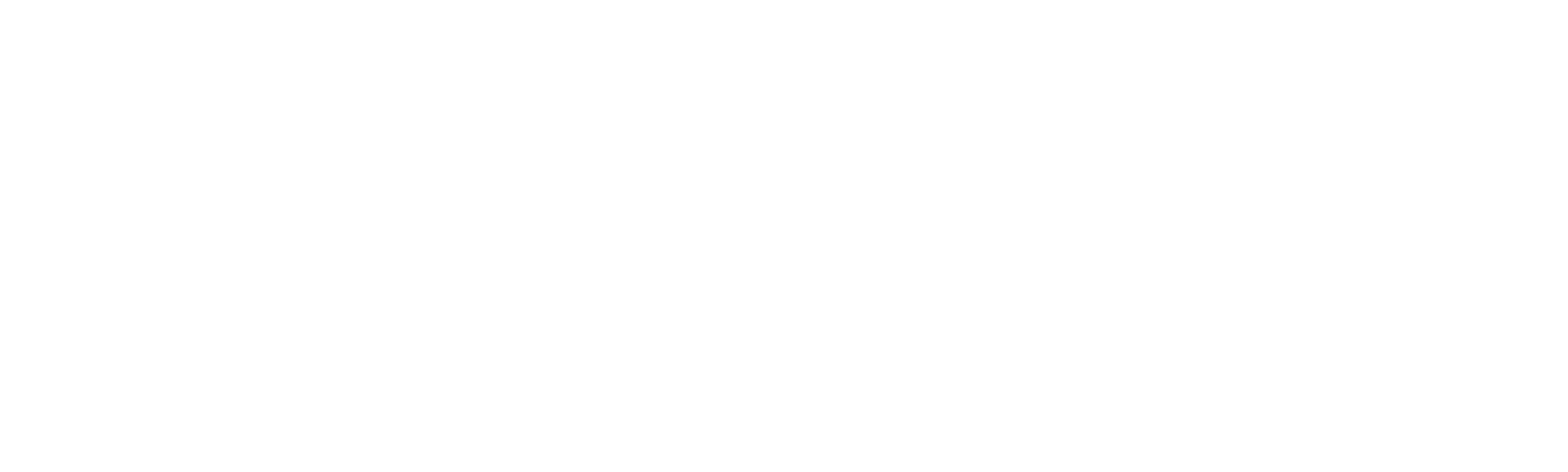 Houdini's Last Secrets