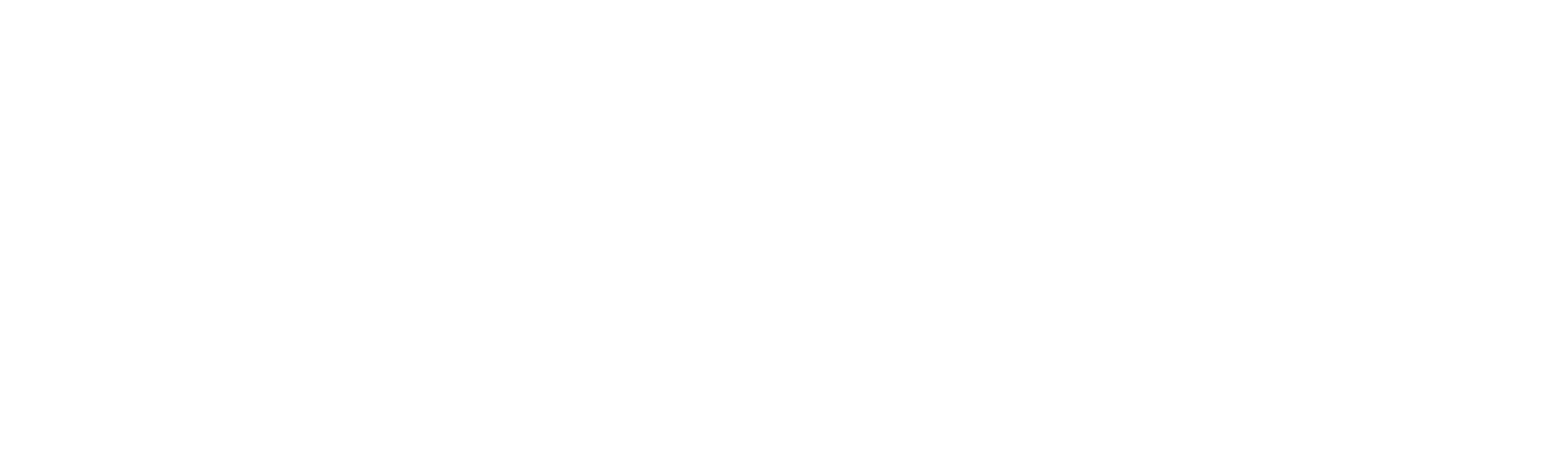 Diario de un detective