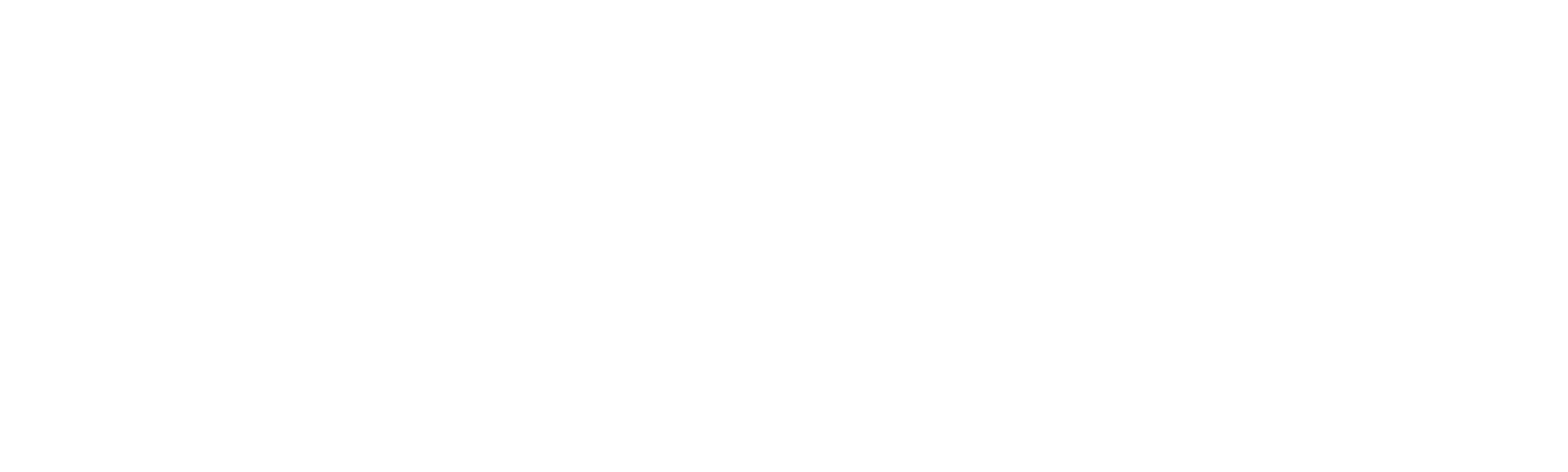 The Rehearsal