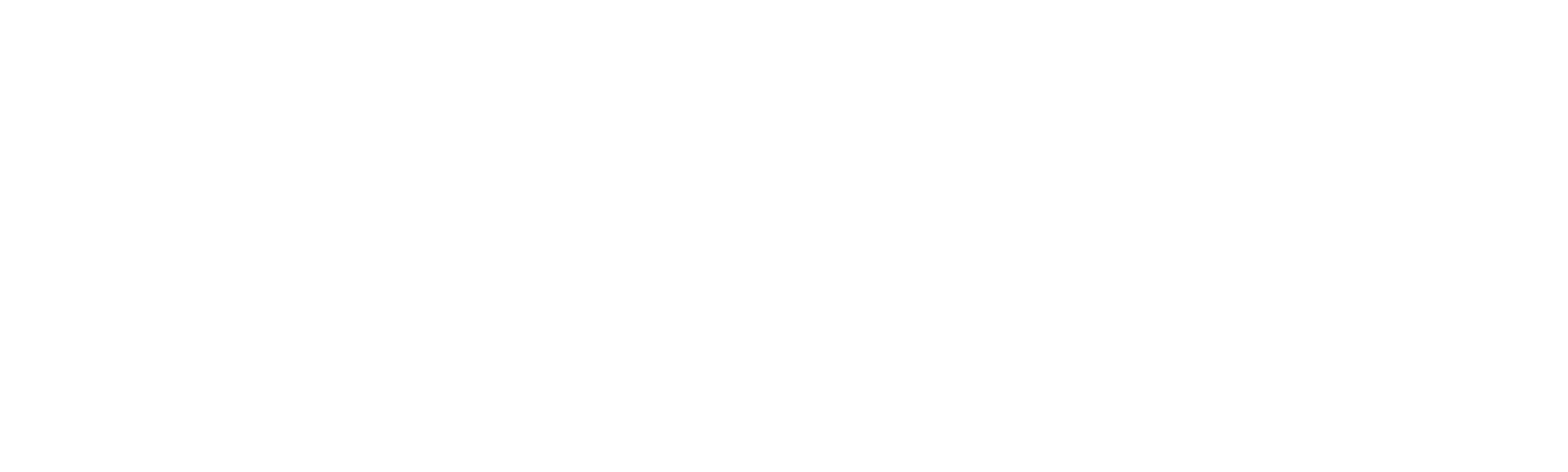The Rehearsal