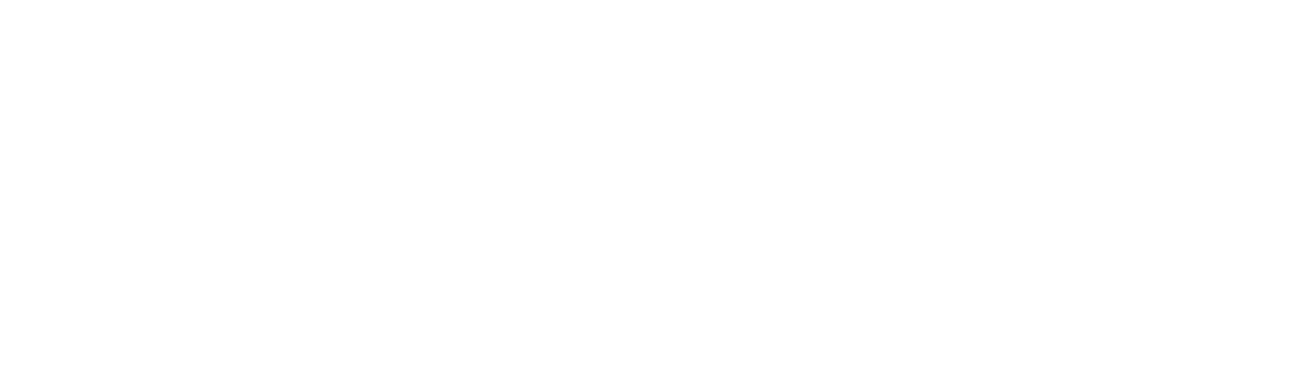 Portraits in the Forest