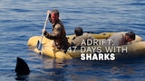 Adrift: 47 Days With Sharks