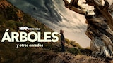 Árboles y otros enredos