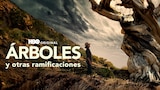 Árboles y Otras Ramificaciones