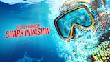 Sydney Harbor Shark Invasion