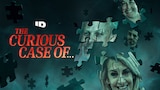 The Curious Case of...