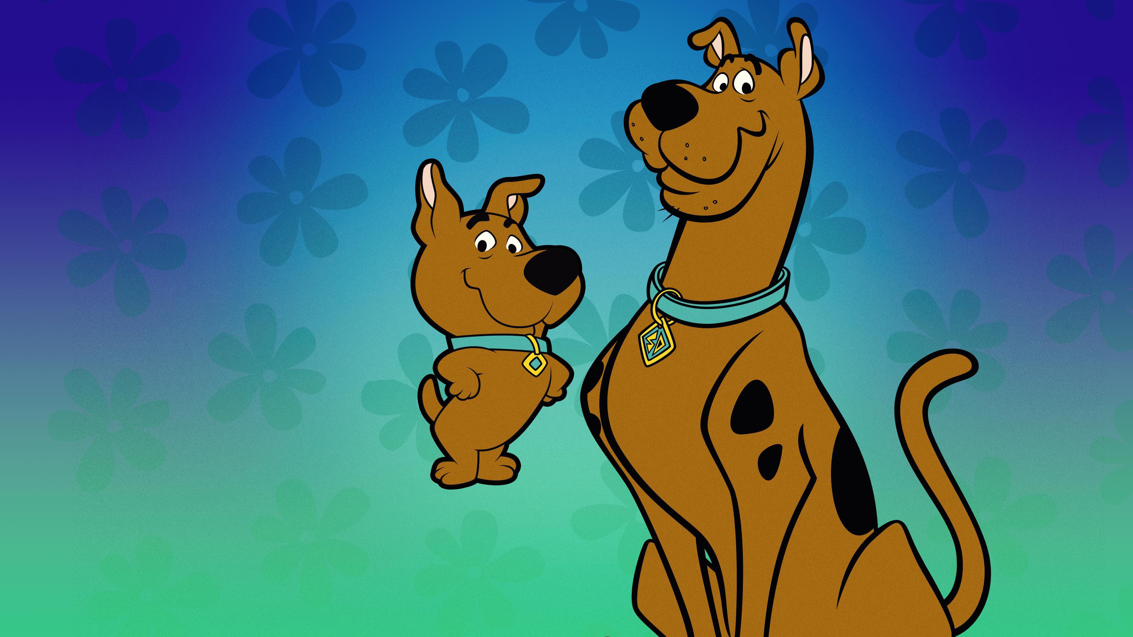 Scooby-Doo and Scrappy-Doo - streaming online