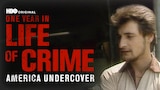 One Year in a Life of Crime: America Undercover