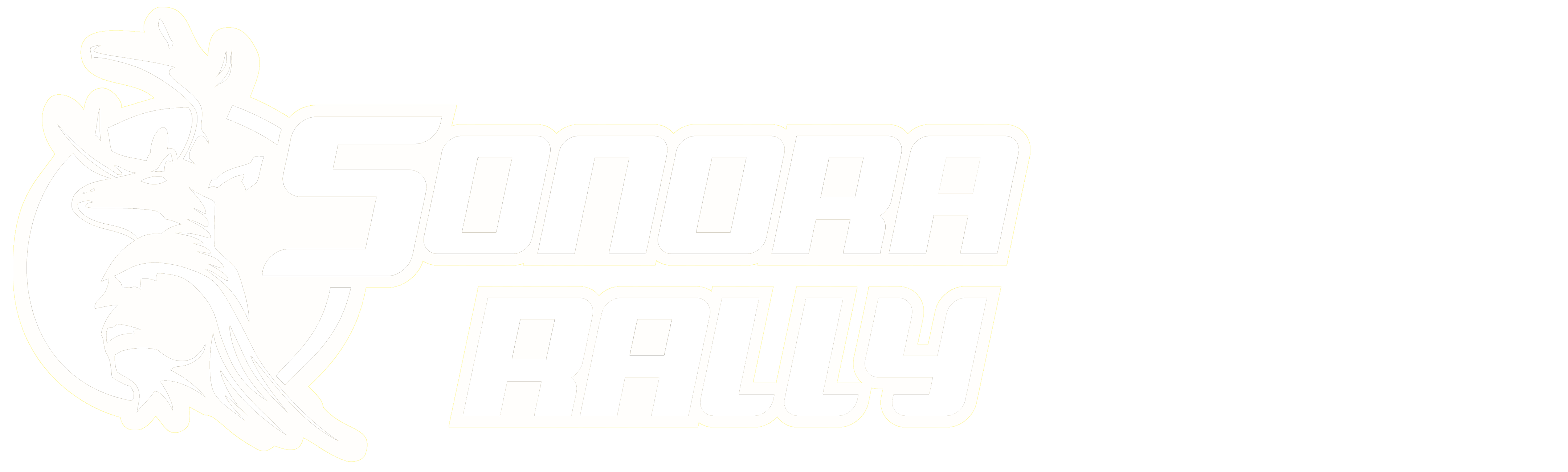 Sonora Rally