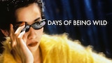 Days of Being Wild