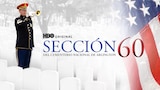 Sección 60 Del Cementerio Nacional De Arlington