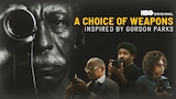 A Choice of Weapons: Inspired by Gordon Parks