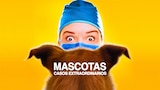 Mascotas: casos extraordinarios