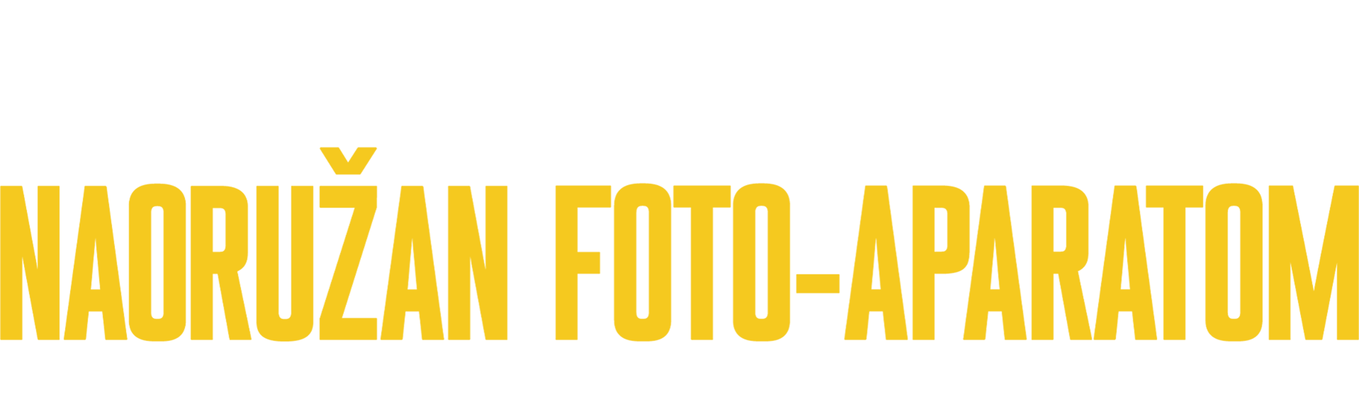 Naoružan foto-aparatom: Život i smrt Brenta Renoa