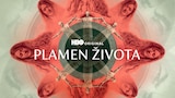 Plamen života