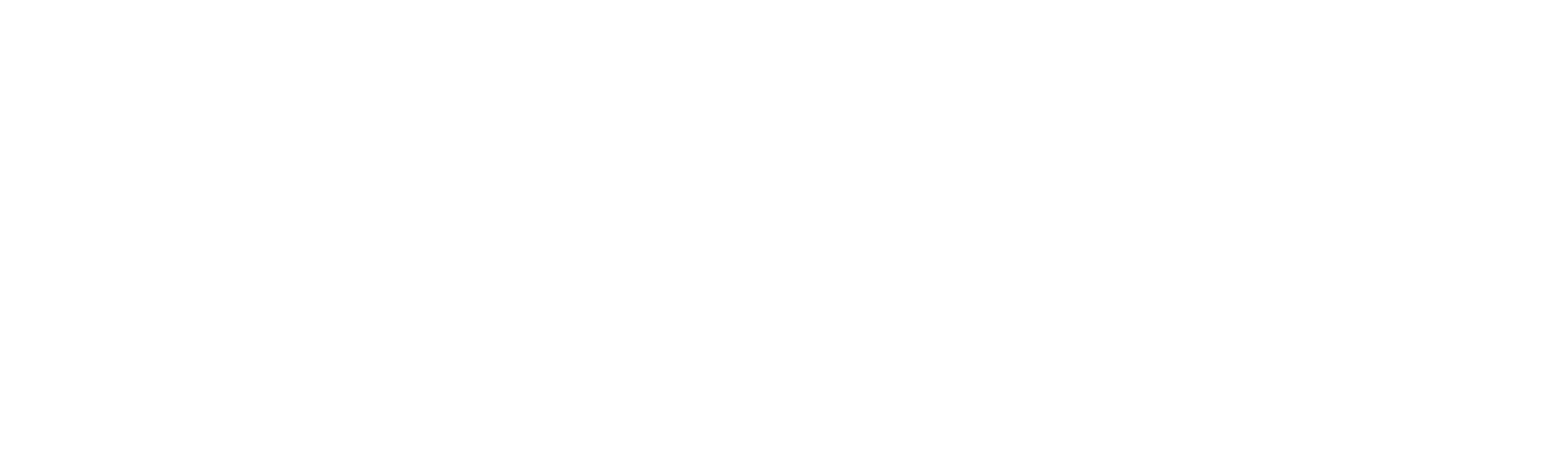 90 Day Journey: Russ & Pao