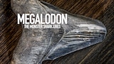 Megalodon: The Monster Shark Lives