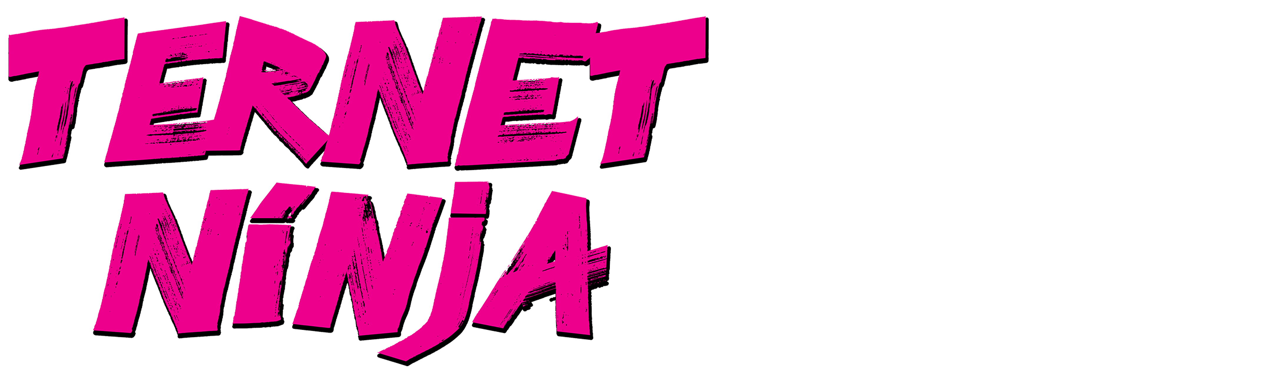Ternet ninja