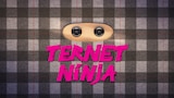 Ternet ninja