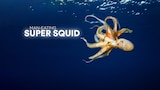 Man-Eating Super Squid