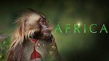 África