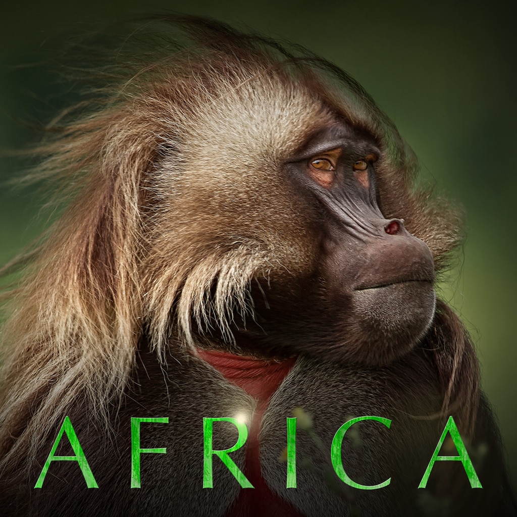 Africa