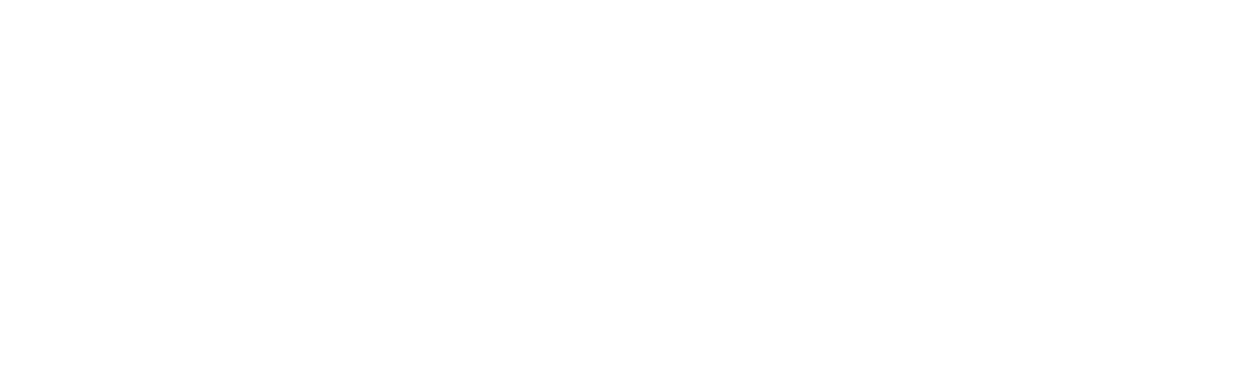 The Fence