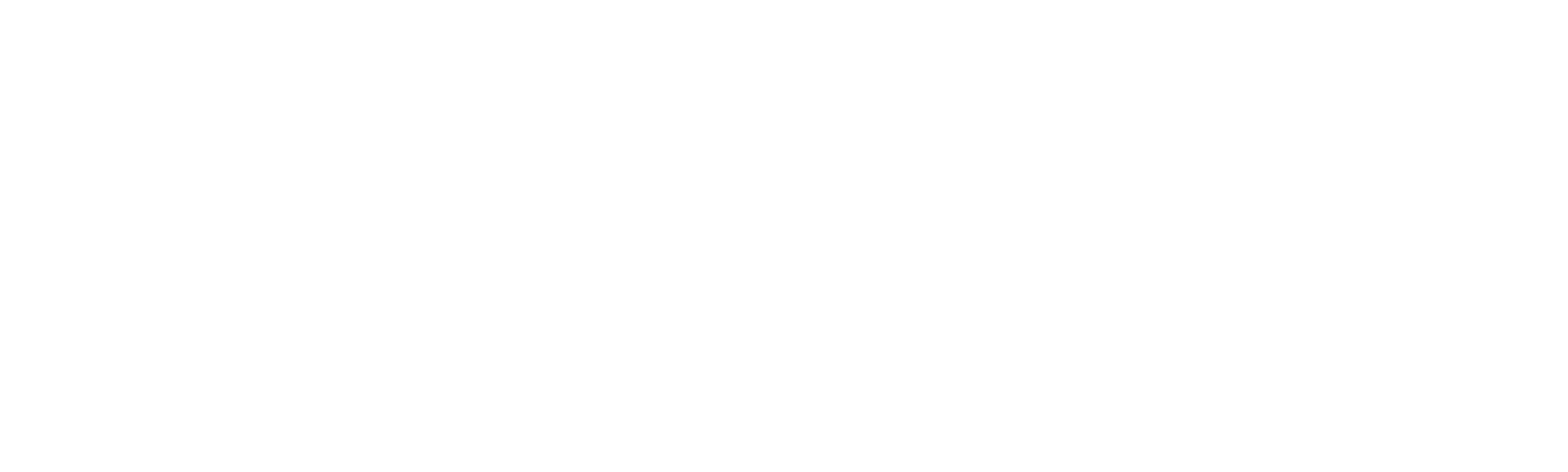 The Fence