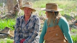 A Homestead Divided