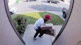 Doorbell Camera Disasters