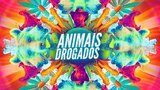 Animais Drogados