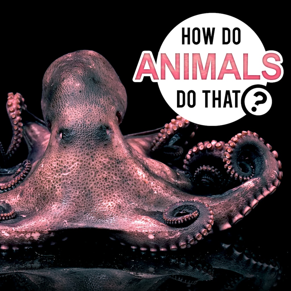 How Do Animals Do That?