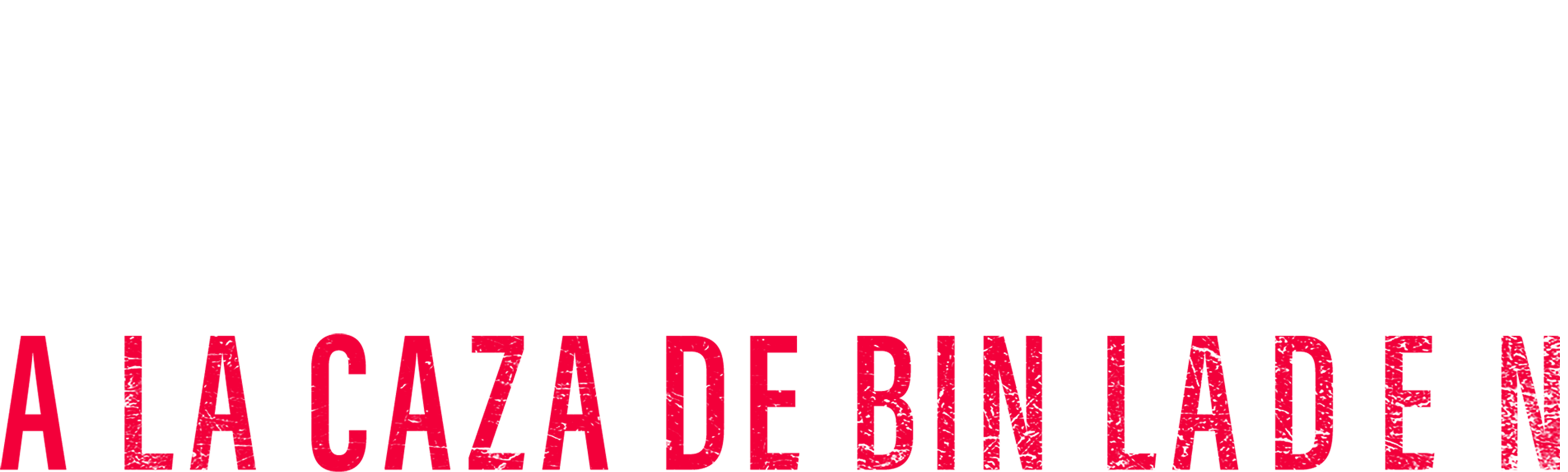 A la caza de Bin Laden