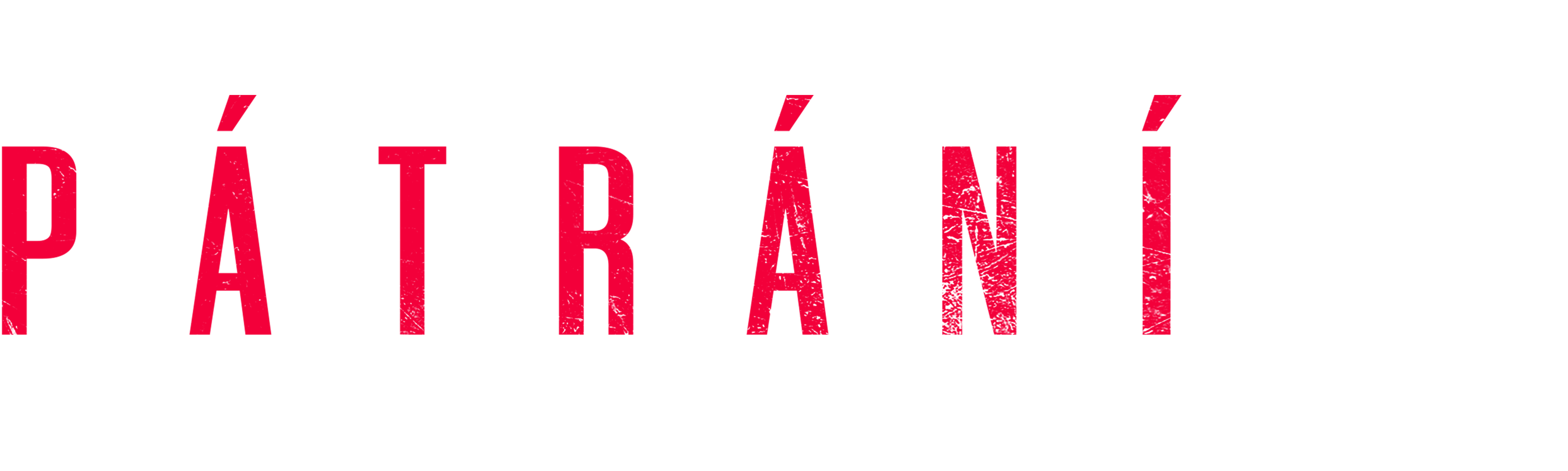 Pátrání po bin Ládinovi