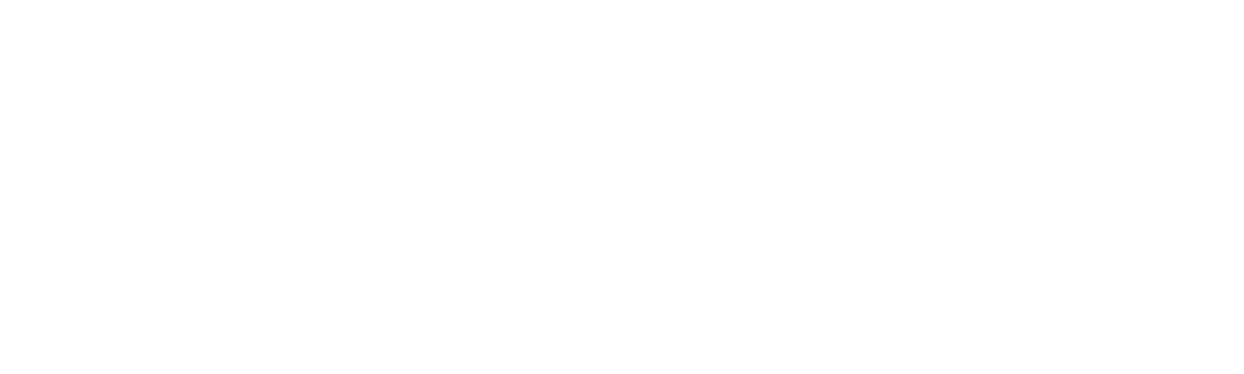 Todo en Todas Partes al Mismo Tiempo