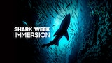 Shark Week Immersion