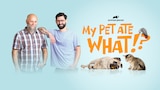 My Pet Ate What!?