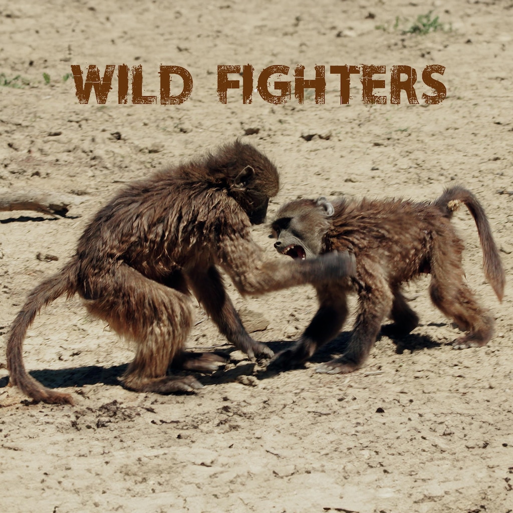 Wild Fighters