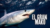 El gran mako