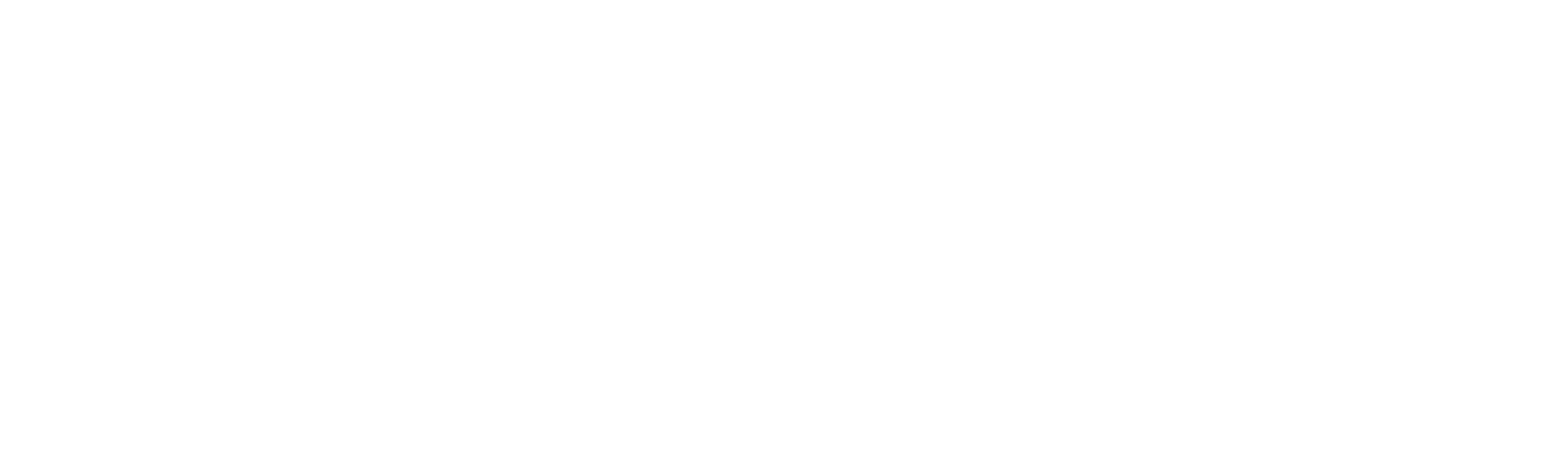 The Slow Hustle