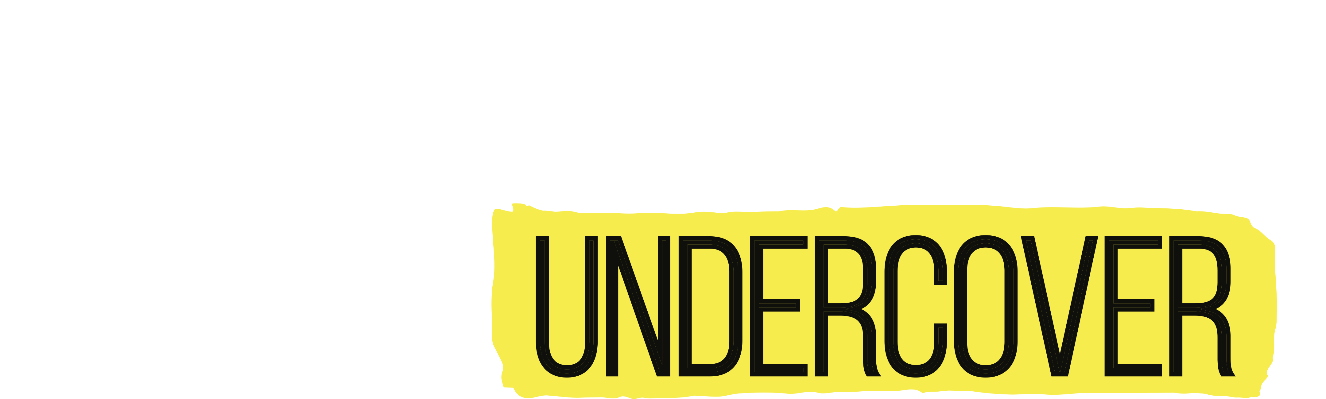 Kitchen Undercover
